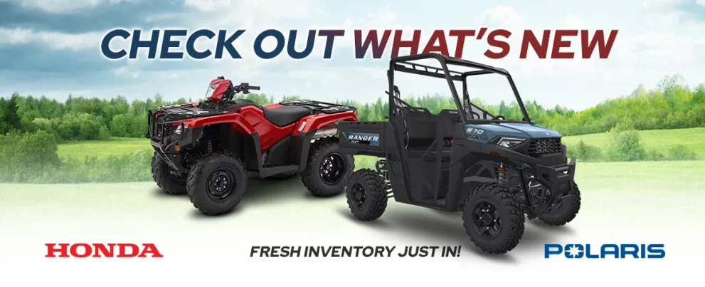 Explore our latest arrivals! Fresh Inventory Now In!